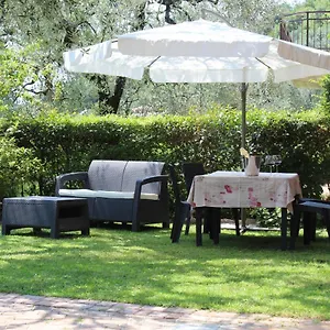 Relax In The Olive Grove Apartment